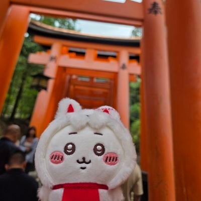 むちょこさんのプロフィール画像