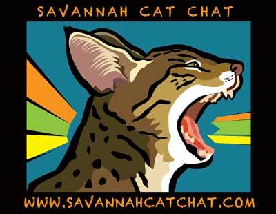 SVCatChat's profile picture. The Savannah Cat Chat Community is a one-stop place for you to meet new people and share your love of Savannahs with like minded individuals, as well as a place