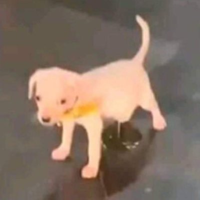 levelonefreak's profile picture. theyre gonna get me