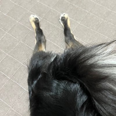 erimiruku's profile picture. 「君に会うために生まれたんだ」 基本的に秦基博ごとしか呟きません！秦病が感染するのでご注意ください( ･᷄ᴥ･᷅ )✨ HG会員。RTは出所がわかるようにします👍 ちどらー。只今夢中💁オオタニさーーーん🦄17。 MLB⚾️