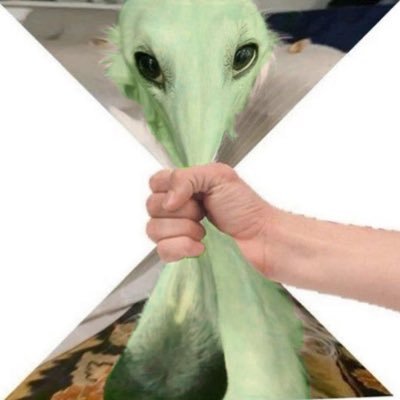 oeggae Profile Picture