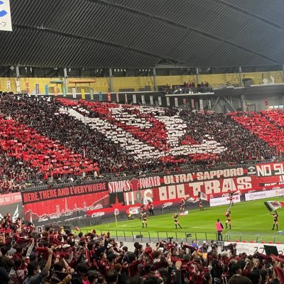 JJ6lNjcOqzihSuz's profile picture. 🦉