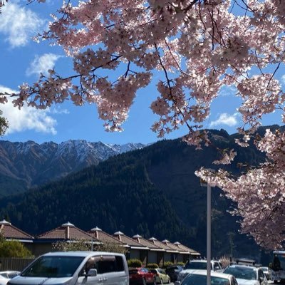 CoinMergeOS's profile picture. 忠诚守信报恩，永远匍匐爱baba