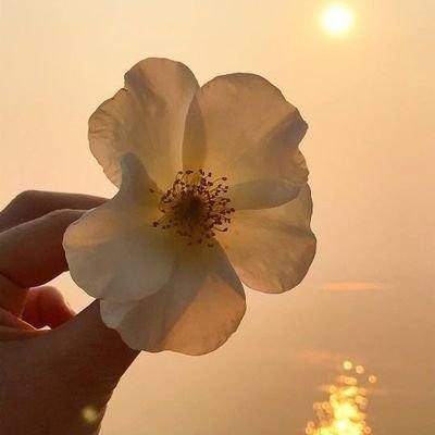 joooagainstthex's profile picture. soon to be a writer, xixi