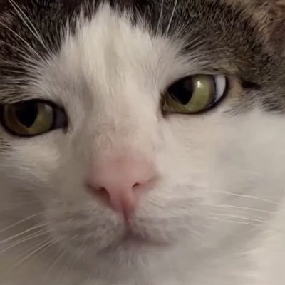 jjhhjh555's profile picture. コンサートの安全かつ迅速な取引をご提供いたします。
正規ルートで入手された、確認済みのチケットのみを取り扱っております。
最後まで丁寧な対応を心がけておりますので、ご協力のほどよろしくお願いいたします。