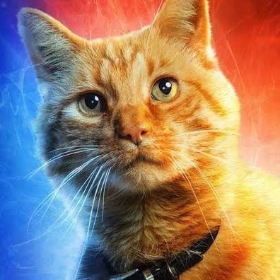 yujinkai008's profile picture. 𝓑𝓮 𝓴𝓲𝓷𝓭 𝓽𝓸 𝓸𝓷𝓮 𝓪𝓷𝓸𝓽𝓱𝓮𝓻

Communıty Buılder | Gamer
