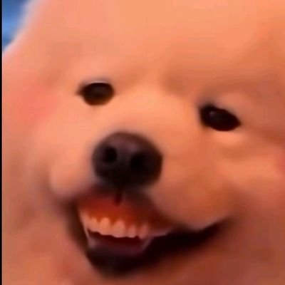 Onakasuita_UE's profile picture. 