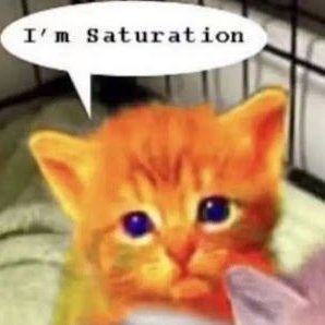 skittlesyayyy's profile picture. Medicine cat apprentice