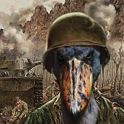 H7BRIS's profile picture. 