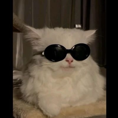 Parthak32315's profile picture. CS'29 / learning Python / ML enthusiast