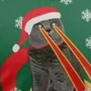 kaliwonhuju's profile picture. 