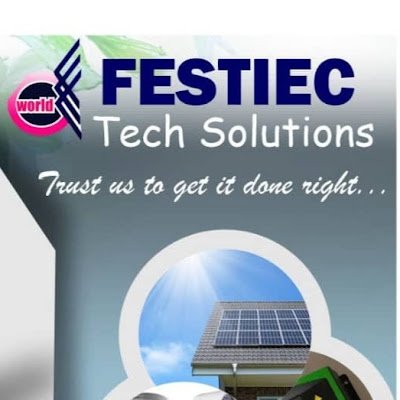 festiec's profile picture. 