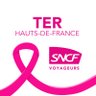 TERHDF's profile picture. Réponses à vos tweets infotrafic TER Hauts-de-France en temps réel 7j/7.
En semaine : 5h45/12h45 - 13h30/20h30
Samedi : 7h/21h
Dimanches et fêtes : 8h/22h