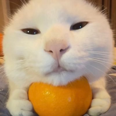 Skin703's profile picture. 