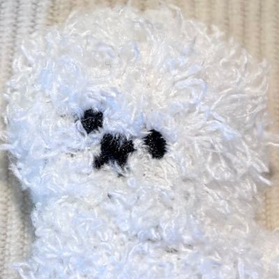 toymalpoodle's profile picture. ただただ日本が好きなオバハンです。真っ赤な宮城を青く🌊🚙✨️ #村井知事 の移民推進/土葬墓地設置計画に強く反対します ✨️かおり部✨️無言フォローを失礼いたします🙇🏻‍♀️DMは読みませんです🙇🏻‍♀️ 🐿🇯🇵