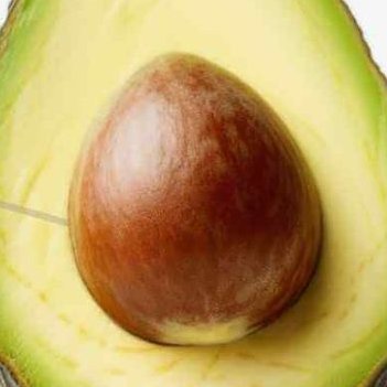 AVOPEEL's profile picture. The coin inspired by the “Peel the Avocado” meme.