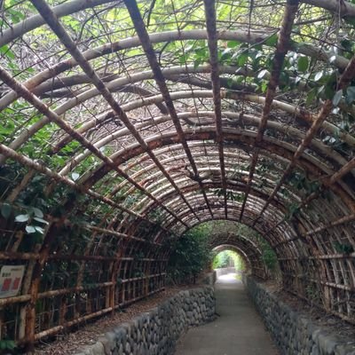 nidaime_mizu's profile picture. 🏓水谷隼選手の、自分に正直でいようとする所が好きです。
諦めない彼の戦い方から生き方を学んでいます。
東京オリンピックで、彼の極上の笑顔が見られて幸せ!!　

無言フォロー🙏　TLが追いきれない日々🙏