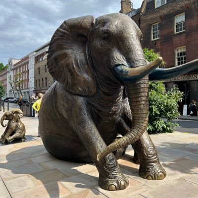 DreamingRaven49's profile picture. 