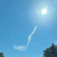 りんどう (@rindow_gunjow) 's Twitter Profile Photo