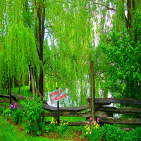 OnAEV3JSzj76416's profile picture. スタートアップで働いている中です。行動力がある、友人を大切にするな私は動画編集、絵画、キャンプ、ゲームに情熱を注いでいます。