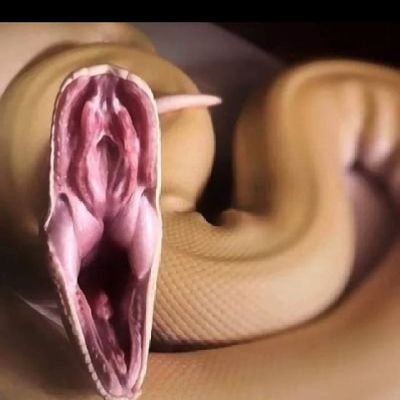 Marvelous0100's profile picture. Kk