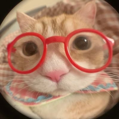 MeowMeow_0x's profile picture. 链上学习中｜撸毛爱好者｜#喵喵撸毛日志