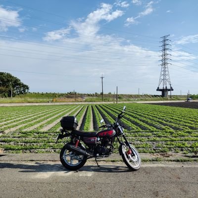 tatami_s6's profile picture. 