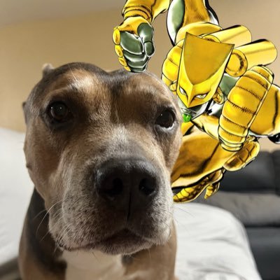 Antoniofnbr's profile picture. 