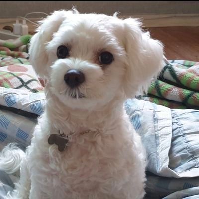 hysa7890's profile picture. 