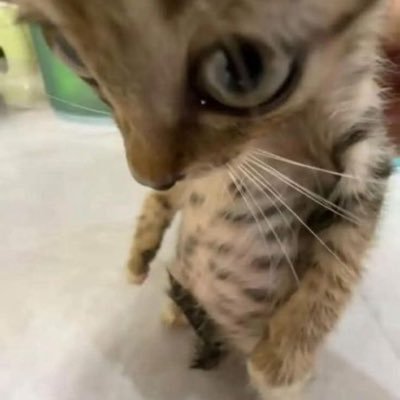grrgrr112's profile picture. 