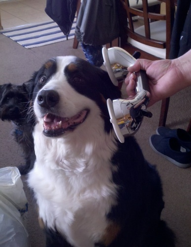 RobertTsuji's profile picture. 