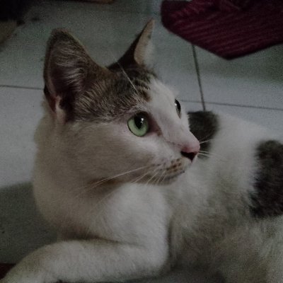 Jazzy_Yaz_'s profile picture. 