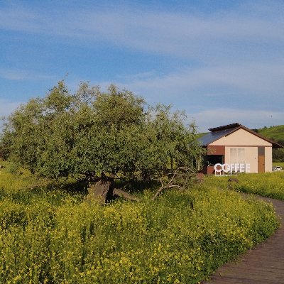 Peterson262826's profile picture. 