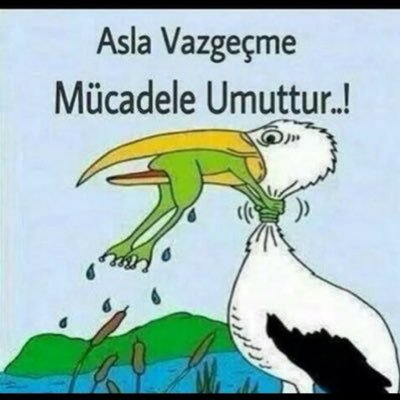 ABOsuzEYTli's profile picture. 