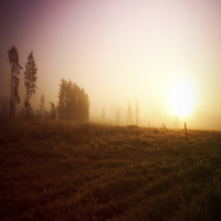 tamicwh's profile picture. 空手、3Dプリンターが大好きな思慮深い、スポーツティ、内向的人間です。特許申請中、充実した日々を過ごしています。