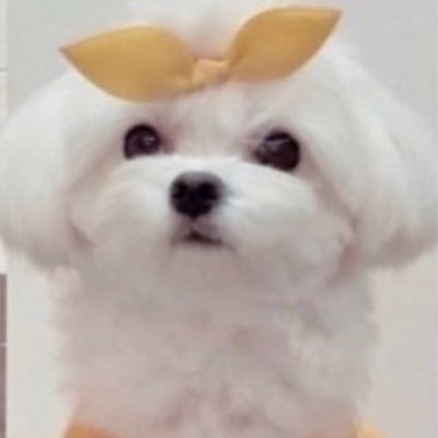 chuni_1223's profile picture. 株とアパート
