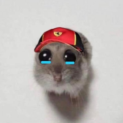 BoxBoxClown's profile picture. tifosi since born