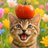 Neko1472O
