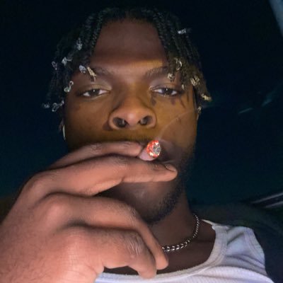 styein's profile picture. Somewhere risk taking, duh