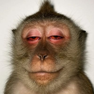 Hope73066749's profile picture.