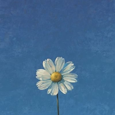 skakarla2023's profile picture. Software Developer | Java • React • Spring Boot • Python | Building scalable web apps | Projects 👉 https://t.co/Vo81IhtBDD