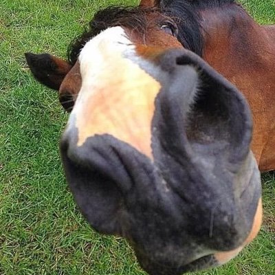 kacaixa's profile picture. yeehaw