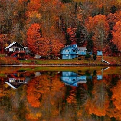 Farhad36628's profile picture. Every single time you help 
somebody stand up,
you are helping humanity rise ...