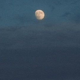 uosef57380's profile picture. Be careful with your words.
once they are said, they can be only forgiven, not forgotten.