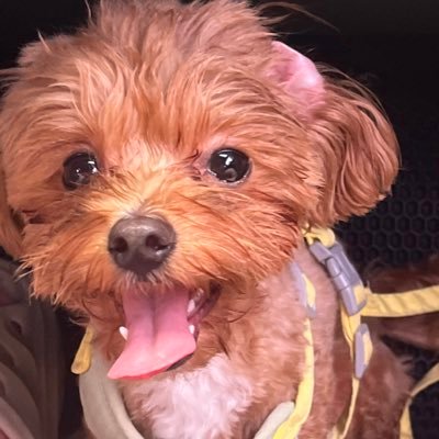 lorosyaira_'s profile picture. 지루한 날에서 뛰쳐나가면 모든 게 반짝이기 시작할거야