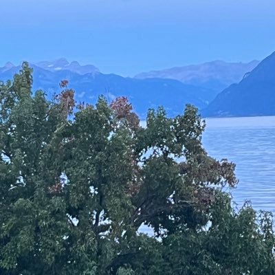 DavidIsabe36473's profile picture. 