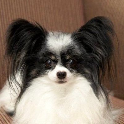 taakoizujin's profile picture. 神宮寺勇太君の沼にハマって専用垢作ってしまいました🩵💙 そしてすみません、フォローのタイミングがよく分からなくなってしまったので、フォローした時など 声かけていただけると嬉しいです。Number_iのファンクラブ入ってます