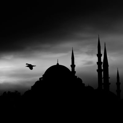 Adeiaj's profile picture. إنَّ هذه الدنيا دارُ التِوَاءٍ لا دَارُ اسْتِوَاءٍ ومَنْزِلُ تَرَحٍ لا مَنْزِلُ فَرَحٍ فَمَنْ عَرَفَهَا لمْ يَفْرَحْ لِرَخَاءٍ ولَمْ يَحْزَنْ لِشَقَاءٍ