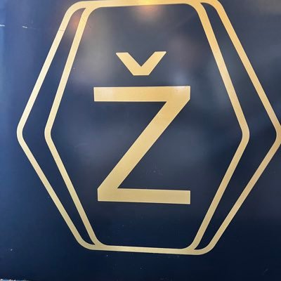 LadyZeeV's profile picture. 