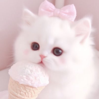아기냥이의 성장일지^ᴗ ̫ ᴗ^💖
